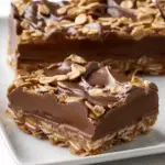 No Bake Chocolate Oat Bars