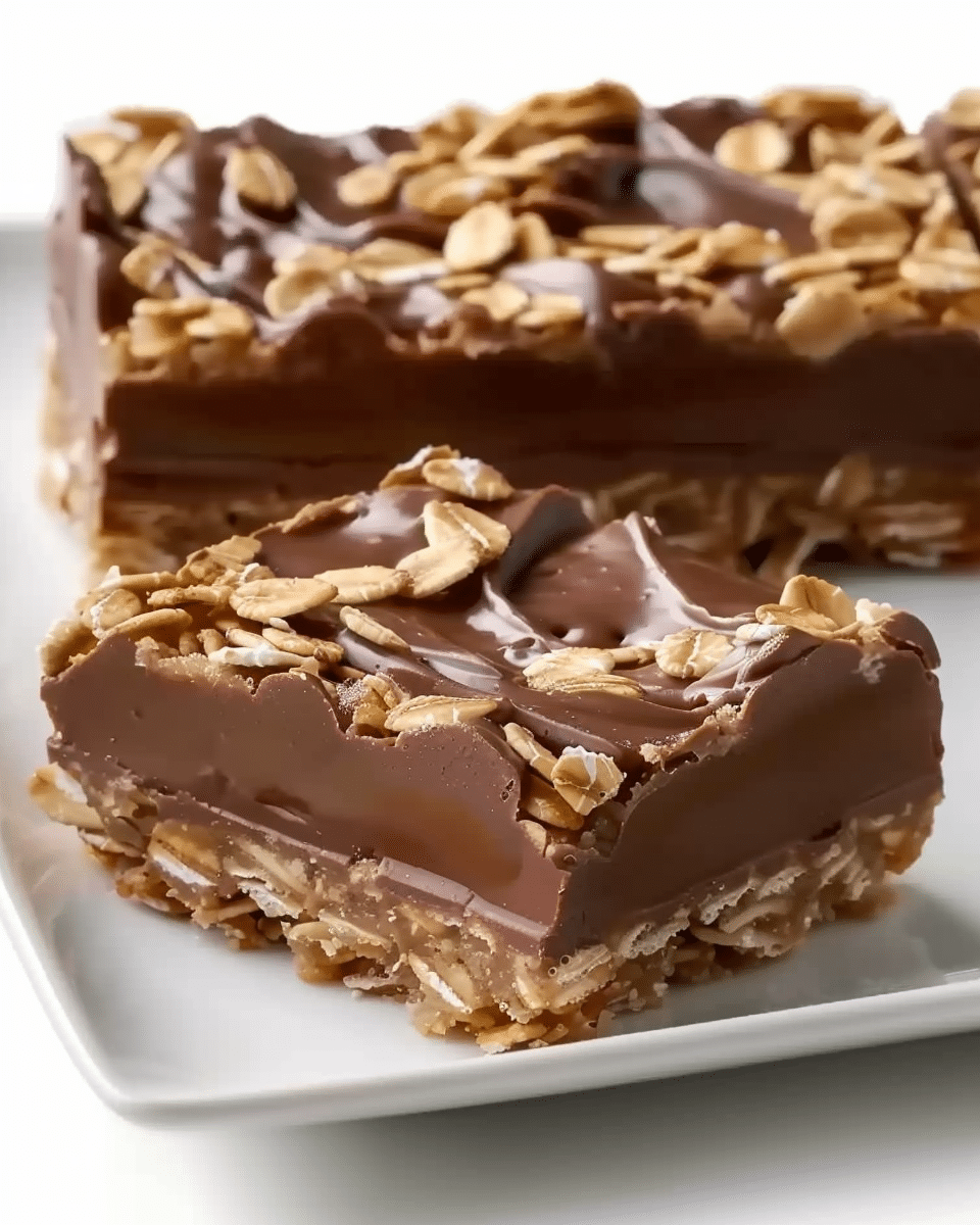 No Bake Chocolate Oat Bars