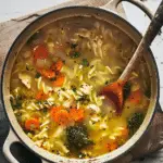 Quick and Easy Chicken Noodle Soup