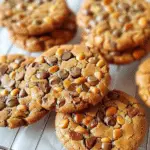 Healthy Cookies Without Flour and Sugar